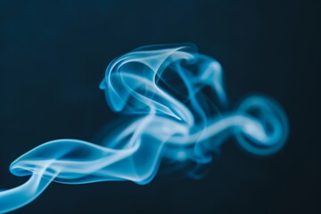 Fototapeta premium Ethereal and abstract smoke patterns gracefully swirling on a captivating dark background