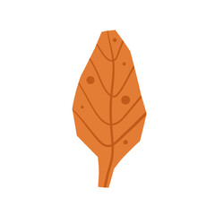 Cut out paper autumn leaf isolated on white background. Fall tree textured shape. Vector hand drawn illustration.