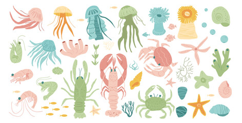 Underwater creatures set isolated on white background. Features jellyfish, crustaceans, stars, marine snails, anemones, coral, seaweed in a vibrant display of ocean biodiversity. Vector illustration.