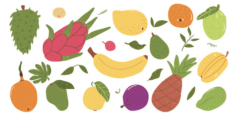 Tropical fruits isolated on white background. Vector hand drawn flat collection illustration.