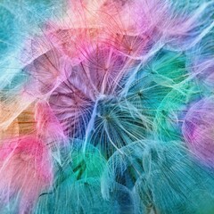 Soft abstract gradient background , abstract dandelion