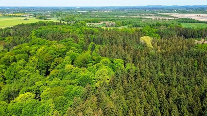 Drone view from above of green mixed forests in northern Germany.