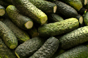 Closeup view of a pile of cucumbers	