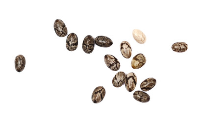 Chia seeds, Salvia hispanica, macro isolated on white background, top view