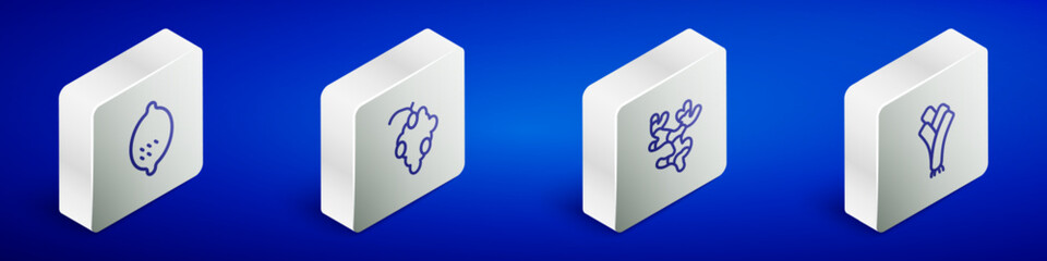 Set Isometric line Lemon, Grape fruit, Ginger root and Leek icon. Vector