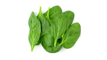 Fototapeta premium Spinach on white background