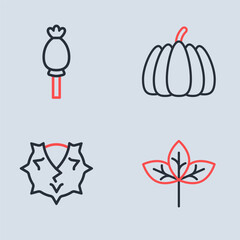 Set line Pumpkin, Chestnut, Winter hat and Opium poppy icon. Vector