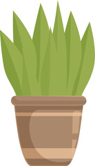 Vibrant green plant bringing life to any indoor space