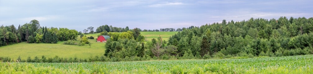 Obraz premium Wisconsin farmland in June with a red barn