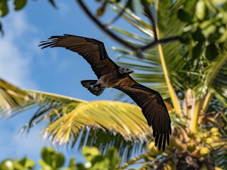 Large bird in flight