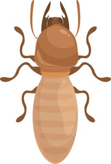 Cartoon termite is standing on a white background