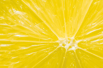 Close-up Image of Fresh Cut Lemon Showing Texture and Background