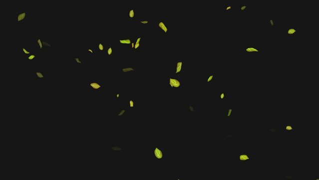 Loop Green falling leaves on alpha channel. Transparent Background. Matte