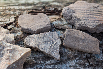 Fragments of ceramic vessels found in the ground at the site of an ancient settlement, archaeological artifacts. Kaluga region, Russia