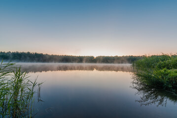 Small forest lake covered with fog at sunrise on June morning