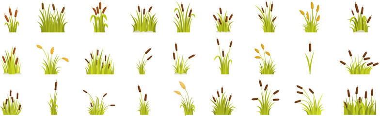 Grass reed icons set. Collection of green reed plants growing in swamp