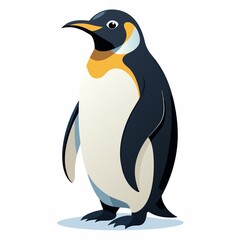 Fototapeta premium penguin on white background