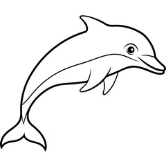 Obraz premium dolphin isolated on white