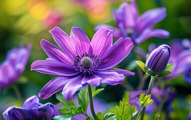 Obraz premium Vibrant Purple Flower in Sunlight