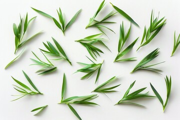 Fototapeta premium A close-up shot of lush green grass on a clean white surface, perfect for decorative or design purposes