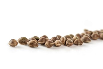 A collection of various nuts on a clean white background