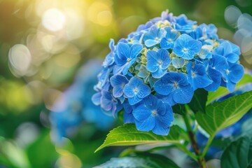 A close-up shot of a blue flower with green leaves, perfect for use in botanical or nature-themed projects