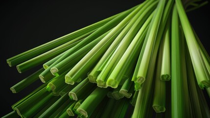 Obraz premium A cluster of green bamboo sticks on a dark, plain background
