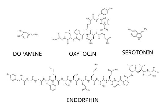 Serotonin, dopamine, oxytocin, endorphins are happy hormones that promote positive feelings like pleasure, happiness, love