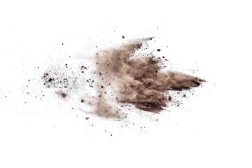 Fototapeta premium A cloud of dust on a white background