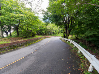 初夏の五月山ドライブウェイの風景