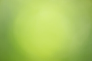 Beautiful and fresh green bokeh background.