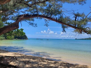 木陰から眺める沖縄の夏の海と空と観光客