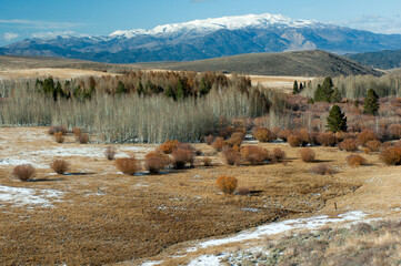 Desert Solitude in the Sierra Nevada.