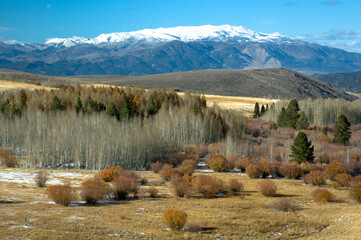 Desert Solitude in the Sierra Nevada.