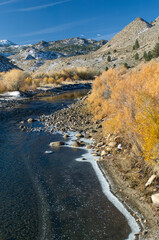 Signs of Walker River Freezing in Late Autumn