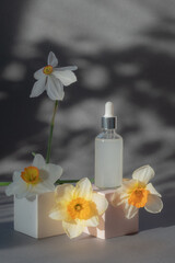 Cosmetic glass transparent bottle with dropper for hyaluronic acid. Square podium and pink hydrangea and ranunculus flowers on a white background. 