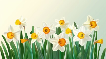 A striking image of white daffodils with orange centers that highlight the contrasting colors and elegant beauty of these flowers. Ideal for botanical themes.