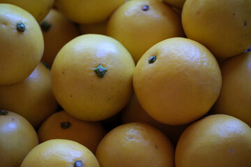 黄色に熟したヒュウガナツ