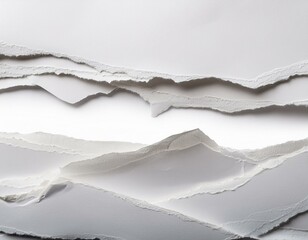 The image is a close up of a piece of paper with a lot of rips and tears