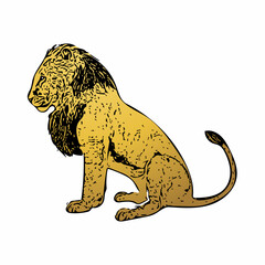 illustration of a lion