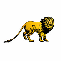 Obraz premium lion illustration