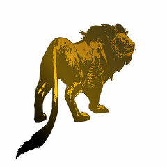 lion on a white background ilustration 