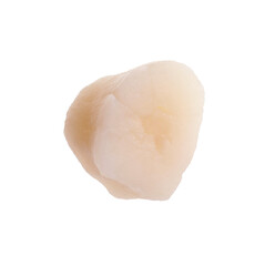 One fresh raw scallop isolated on white