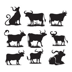 set of cows silhouettes on white	