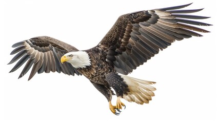 Obraz premium A powerful bald eagle with outstretched wings soaring gracefully in the clear blue sky, showcasing its brown feathers, white head, and sharp yellow beak.