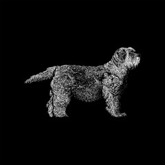 Tibetan Terrier hand drawing vector isolated on black background.