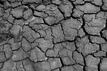 Wall texture soil dry crack pattern of drought lack of water of nature brown old broken background.
