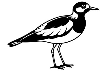Obraz premium lapwing silhouette vector illustration