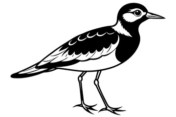 lapwing silhouette vector illustration