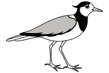 lapwing silhouette vector illustration